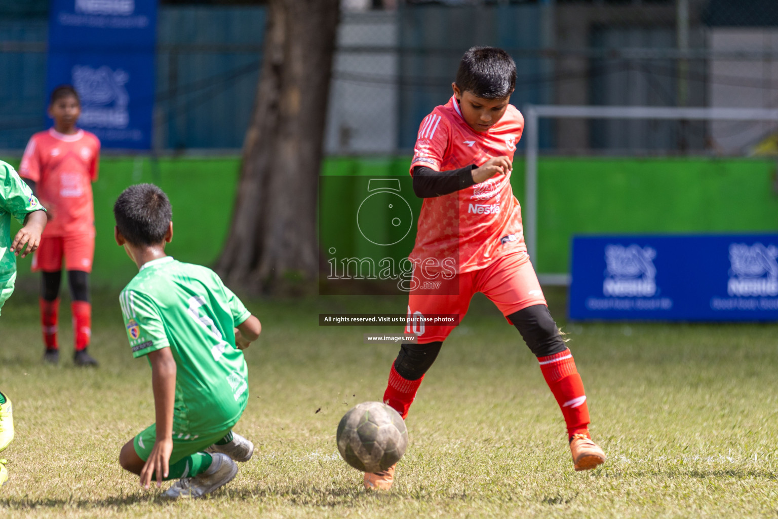 Day 3 of Nestle Kids Football Fiesta, held in Henveyru Football Stadium, Male', Maldives on Friday, 13th October 2023
Photos: Hassan Simah, Ismail Thoriq / images.mv