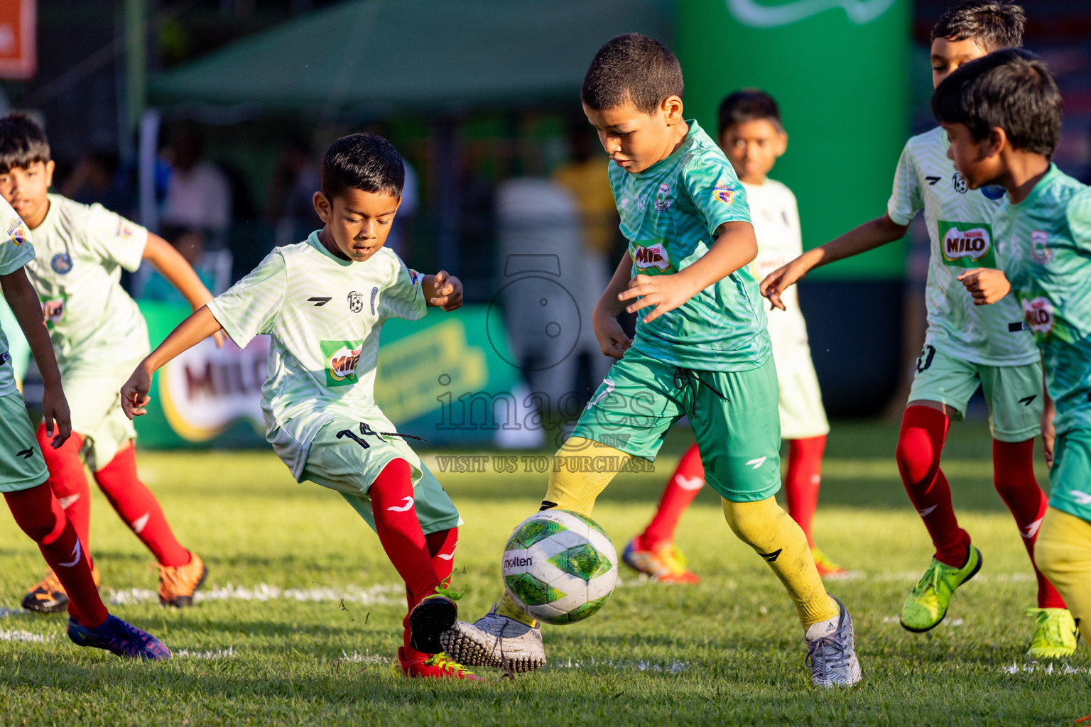 Day 1 of MILO Kids Football Fiesta was held at National Stadium in Male', Maldives on Friday, 23rd February 2024. 
Photos: Hassan Simah / images.mv