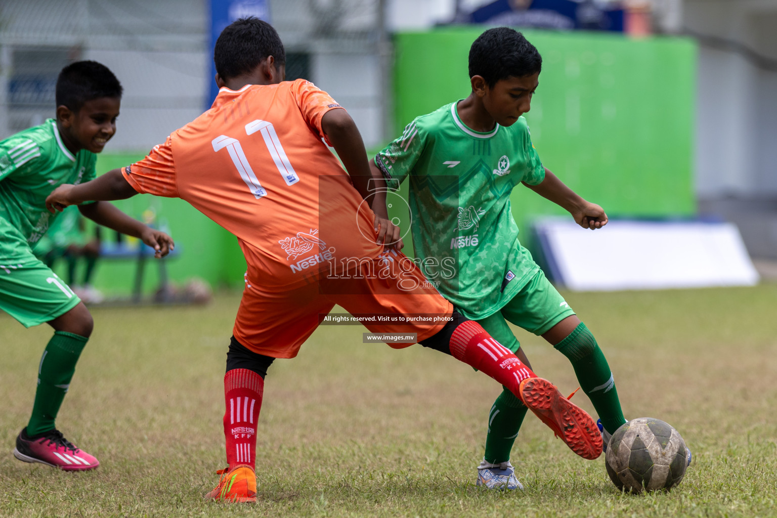 Day 4 of Nestle Kids Football Fiesta, held in Henveyru Football Stadium, Male', Maldives on Saturday, 14th October 2023
Photos: Mohamed Mahfooz Moosa, Hassan Simah / images.mv