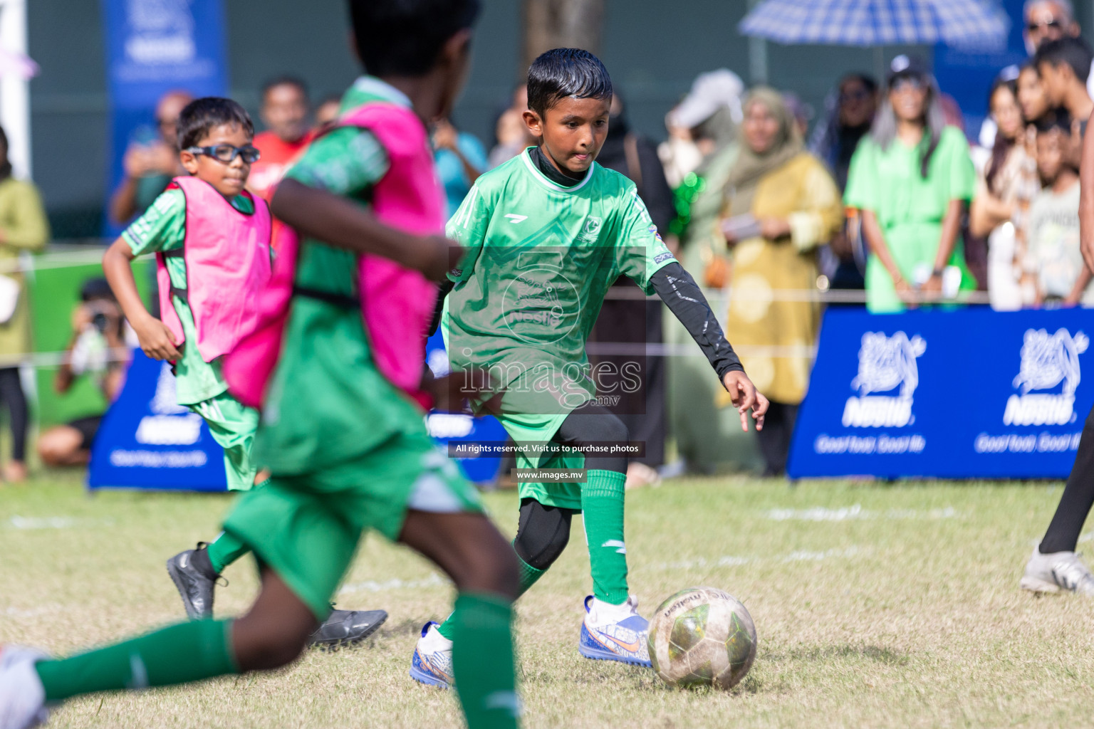 Nestle Kids Football Fiesta 2023 - Day 4
Day 4 of Nestle Kids Football Fiesta, held in Henveyru Football Stadium, Male', Maldives on Saturday, 14th October 2023 Photos: Nausham Waheed / images.mv