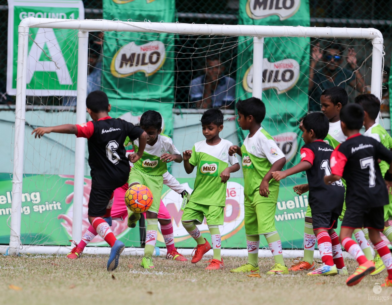 Finals of Milo Kids Football Fiesta in Male', Maldives, Saturday, February 18, 2017.(Images.mv Photo/ Hussain Sinan).