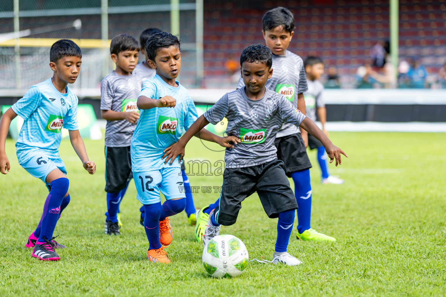 Day 1 of MILO Kids Football Fiesta was held at National Stadium in Male', Maldives on Friday, 23rd February 2024. 
Photos: Hassan Simah / images.mv