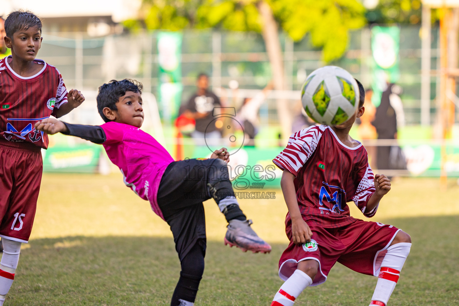 Day 2 of MILO Academy Championship 2025 was held on Friday, 14th February 2025 in Henveiru Stadium. 
Photos: Hassan Simah / Images.mv