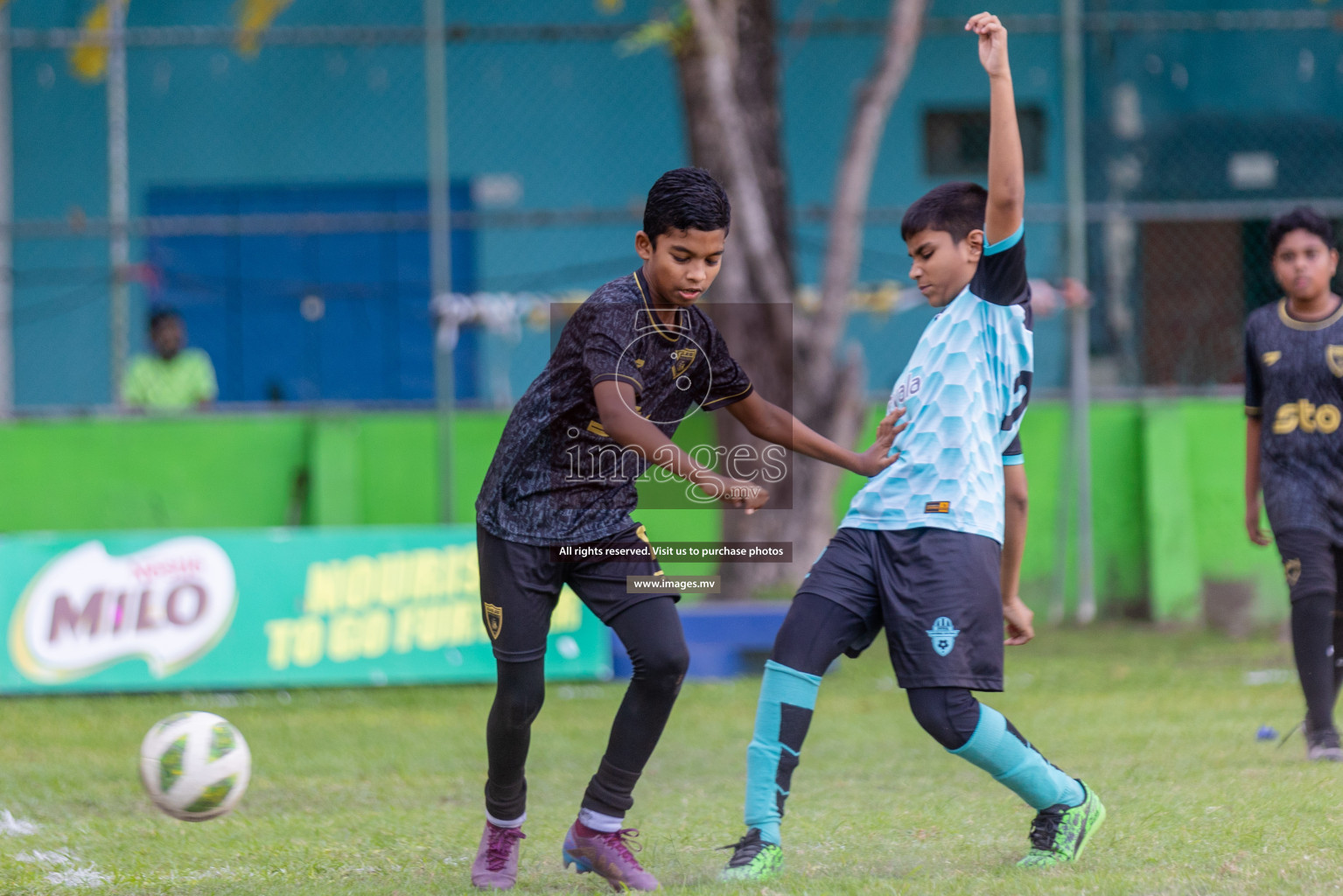 Day 1 of MILO Academy Championship 2023 (U12) was held in Henveiru Football Grounds, Male', Maldives, on Friday, 18th August 2023. 
Photos: Shuu Abdul Sattar / images.mv