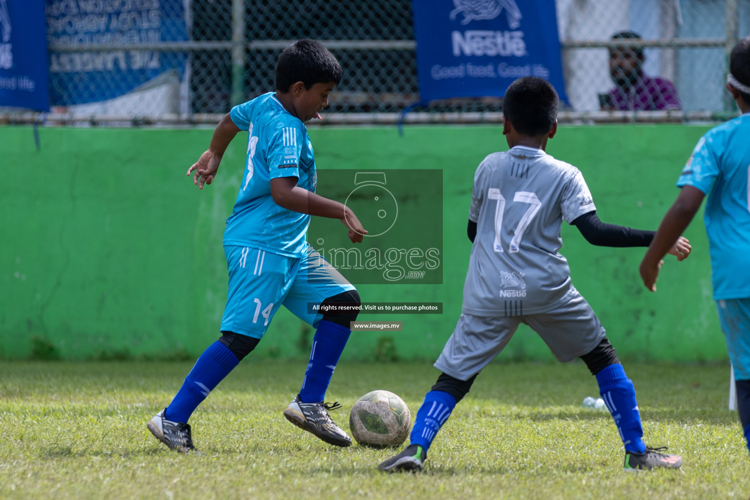 Day 4 of Nestle Kids Football Fiesta, held in Henveyru Football Stadium, Male', Maldives on Saturday, 14th October 2023
Photos: Mohamed Mahfooz Moosa, Hassan Simah / images.mv