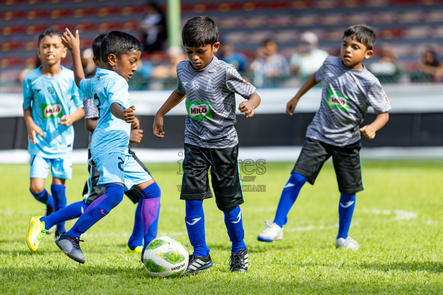 Day 1 of MILO Kids Football Fiesta was held at National Stadium in Male', Maldives on Friday, 23rd February 2024. 
Photos: Hassan Simah / images.mv