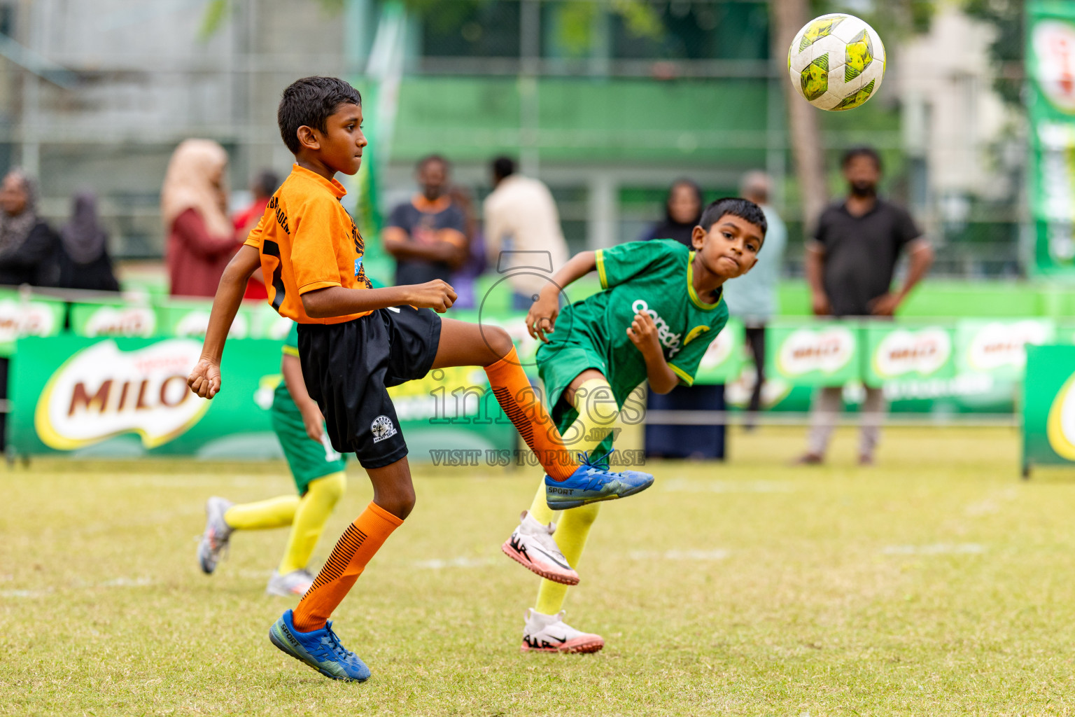 Day 1 of MILO SVAM Juniors 2025 (U-8) was held at Henveiru Stadium in Male', Maldives on Thursday, 26th June 2025. 
Photos: Hassan Simah / images.mv