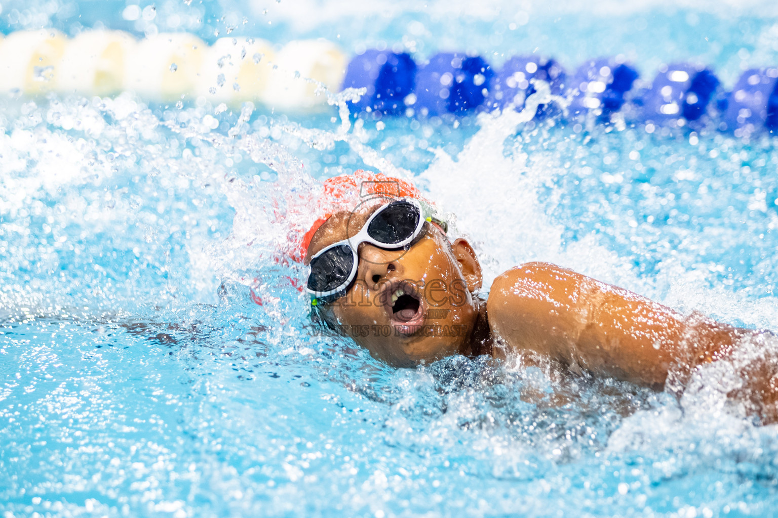 Day 3 of BML 6th National Kids Swimming Kids Festival 2025 held in Hulhumale', Maldives on Wednesday, 5th November 2024. 

Photos: Hassan Simah / images.mv
