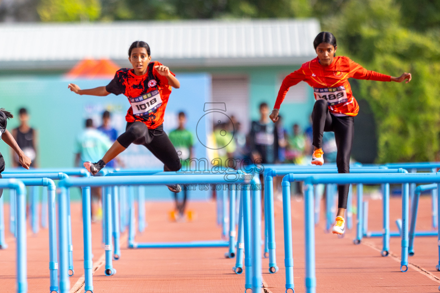 Day 5 of MWSC Interschool Athletics Championships 2024 held in Hulhumale Running Track, Hulhumale, Maldives on Wednesday, 13th November 2024. Photos by: Raif Yoosuf / Images.mv