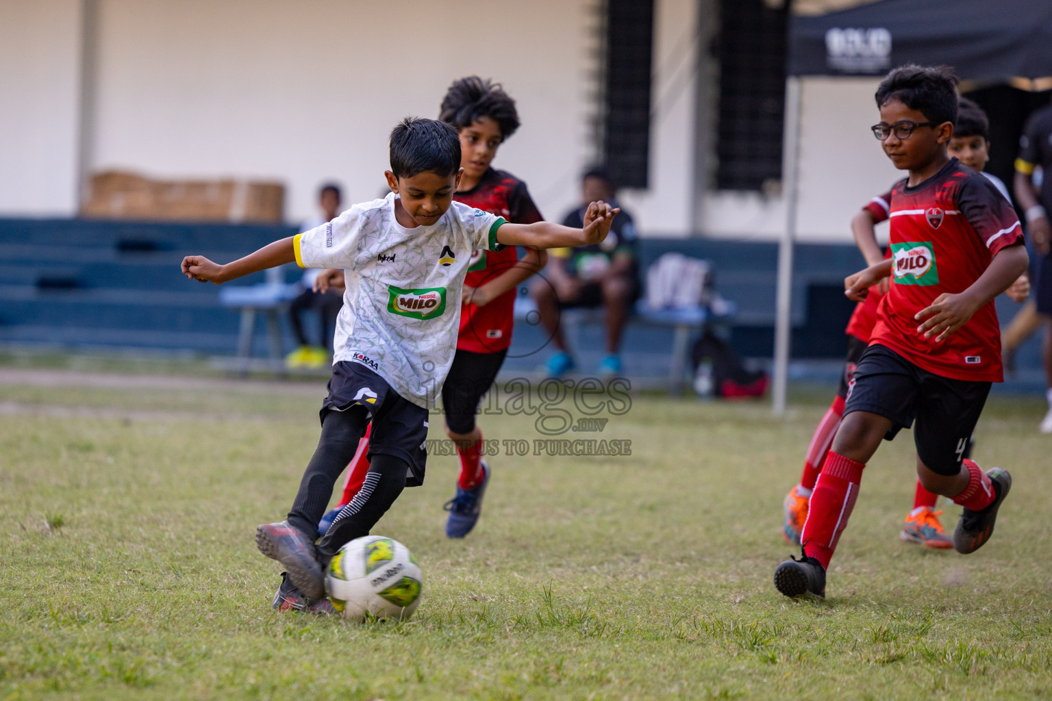 Day 2 of MILO Academy Championship 2025 was held on Friday, 14th February 2025 in Henveiru Stadium. 
Photos: Hassan Simah / Images.mv