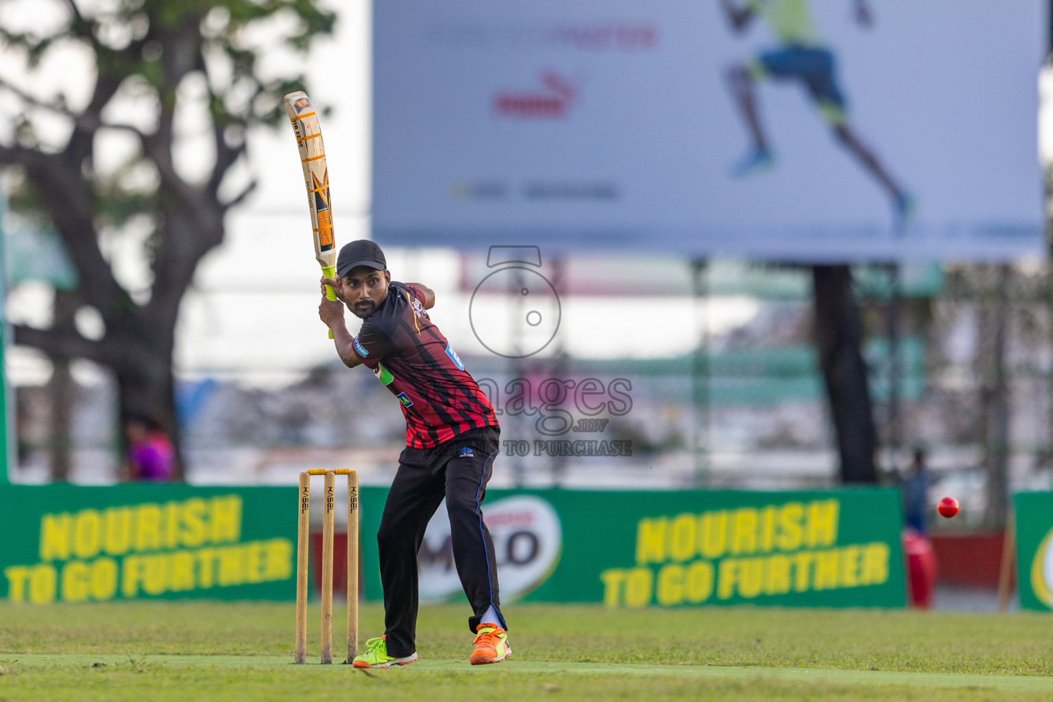 Semi Finals of Ramadan Cricket Carnival (Company Tournament) was held at Ekuveni Grounds on Monday, 8th April 2024. 
Photos: Ismail Thoriq / images.mv