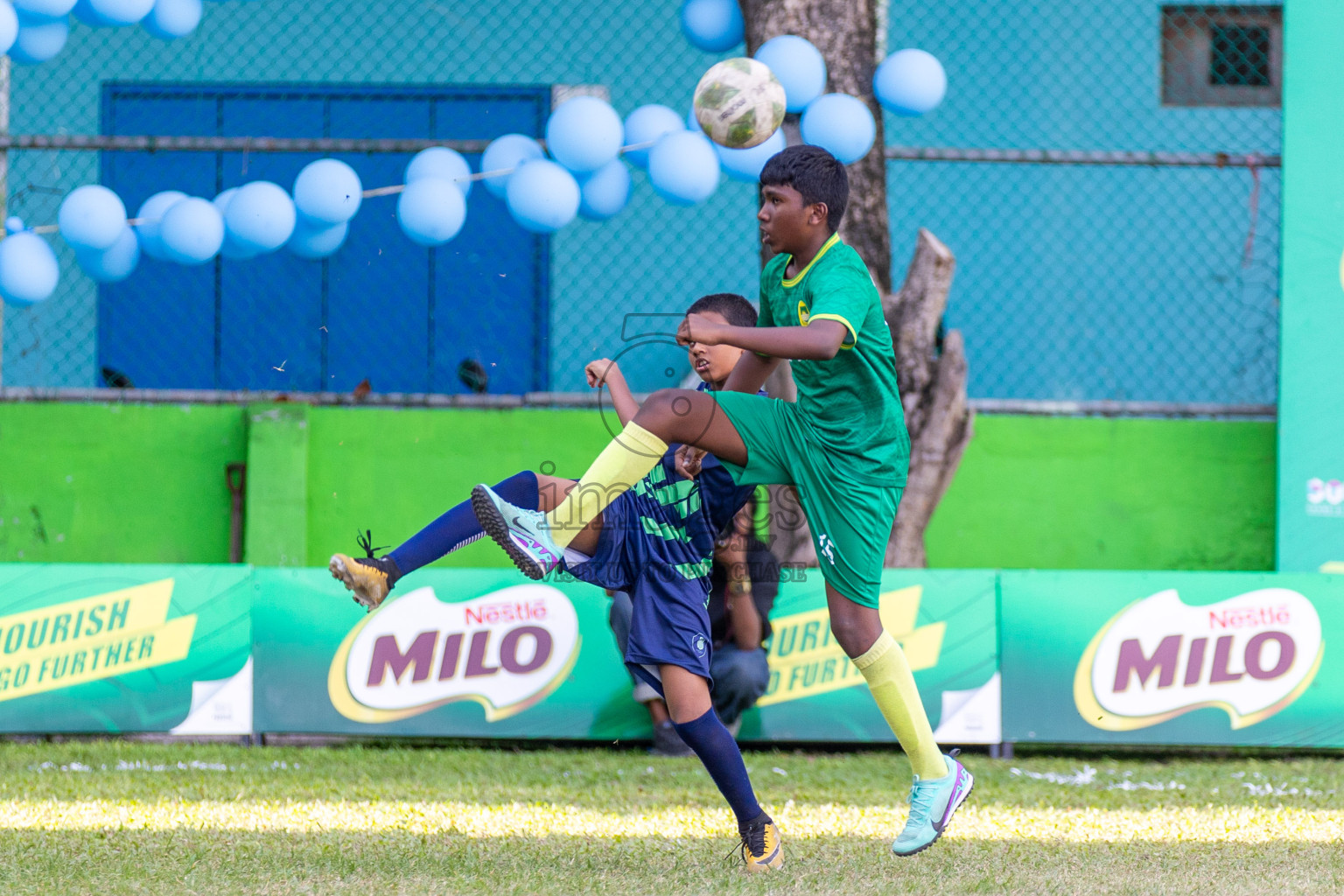 Final Day  of MILO Academy Championship 2024 - U12 was held at Henveiru Grounds in Male', Maldives on Thursday, 7th July 2024. Photos: Shuu Abdul Sattar / images.mv