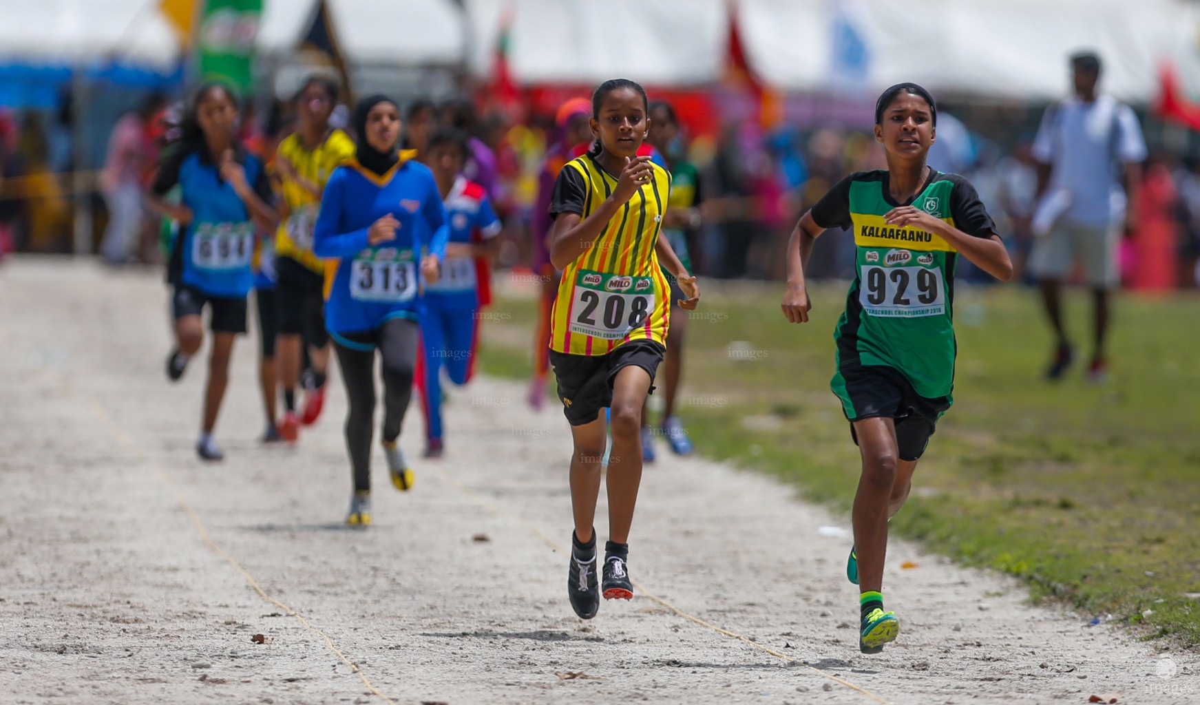 Interschool Athletics held from 2 - 5 September 2016 in Male', Maldives, Saturday, 3, September 2016.(Images.mv Photo/ Abdulla Abeedh).