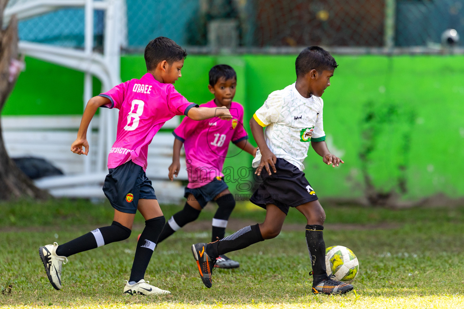 Day 2 of MILO SVAM Juniors 2025 (U-8) was held at Henveiru Stadium in Male', Maldives on Friday, 27th June 2025. Photos: Mohamed Mahfooz Moosa / images.mv