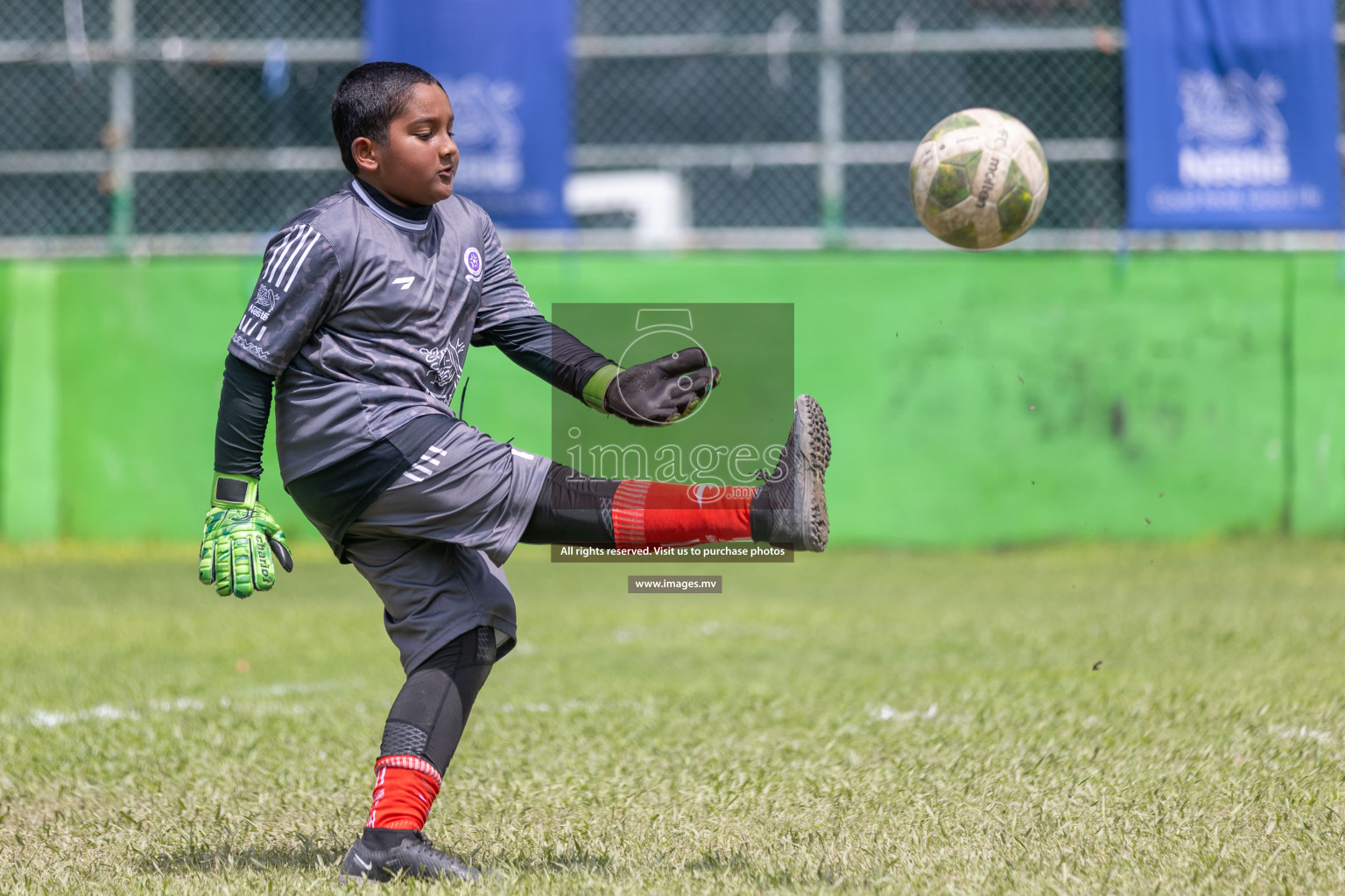 Day 2 of Nestle kids football fiesta, held in Henveyru Football Stadium, Male', Maldives on Thursday, 12th October 2023 Photos: Shuu Abdul Sattar / mages.mv