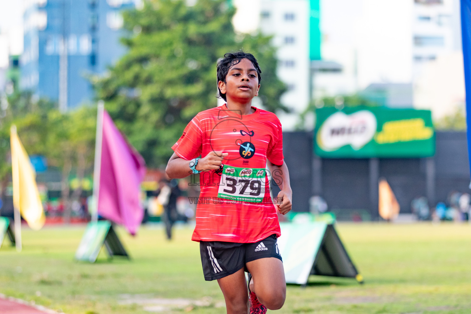 Day 2 of MILO Athletics Association Championship was held on Wednesday, 6th March 2024 in Male', Maldives.