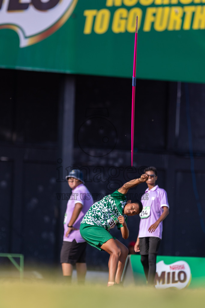 Day 3 of MILO Athletics Association Championship was held on Thursday, 7th May 2024 in Male', Maldives. Photos: Nausham Waheed