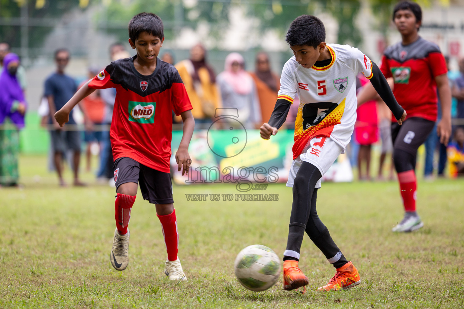 Day 2 of MILO Academy Championship 2024 - U12 was held at Henveiru Grounds in Male', Maldives on Friday, 5th July 2024.
Photos: Ismail Thoriq / images.mv