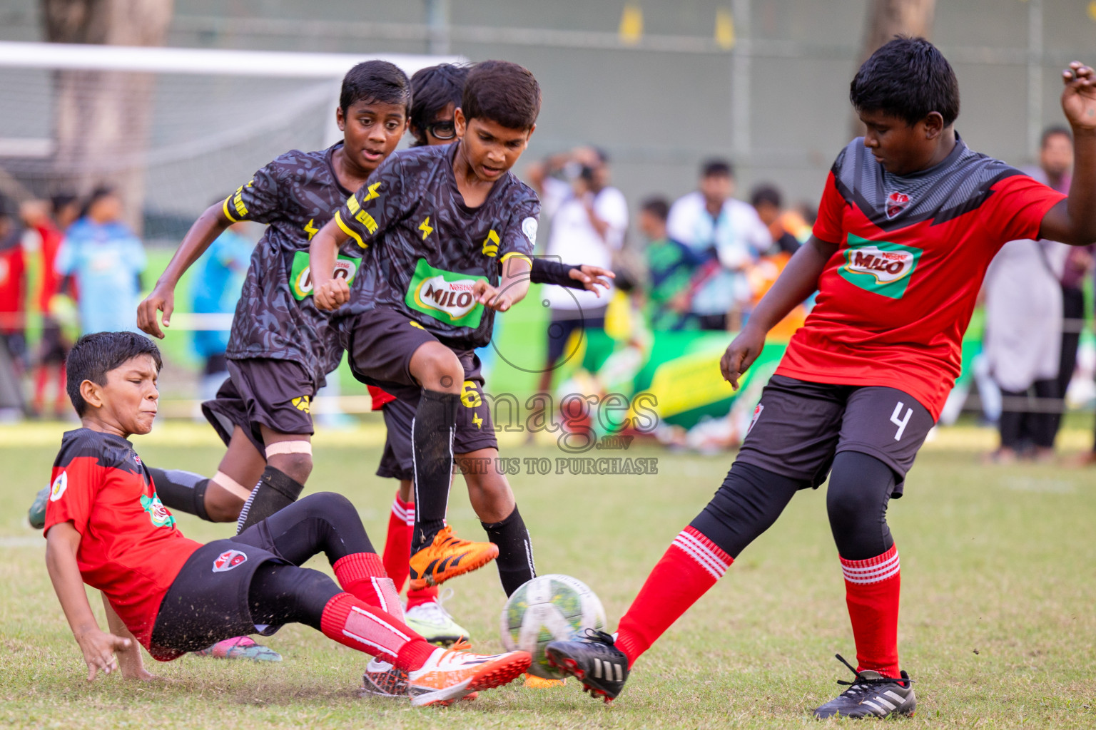 Day 1 of MILO Academy Championship 2024 - U12 was held at Henveiru Grounds in Male', Maldives on Thursday, 4th July 2024. 
Photos: Ismail Thoriq / images.mv