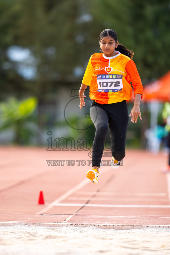 Day 2 of MWSC Interschool Athletics Championships 2024 held in Hulhumale Running Track, Hulhumale, Maldives on Sunday, 10th November 2024. Photos by: Ismail Thoriq / Images.mv