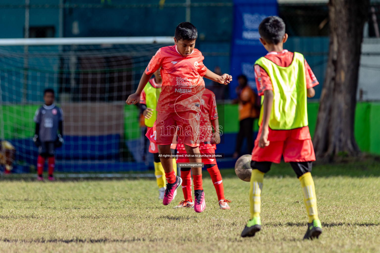 Day 4 of Nestle Kids Football Fiesta, held in Henveyru Football Stadium, Male', Maldives on Saturday, 14th October 2023 Photos: Mohamed Mahfooz Moosa, Hassan Simah / images.mv