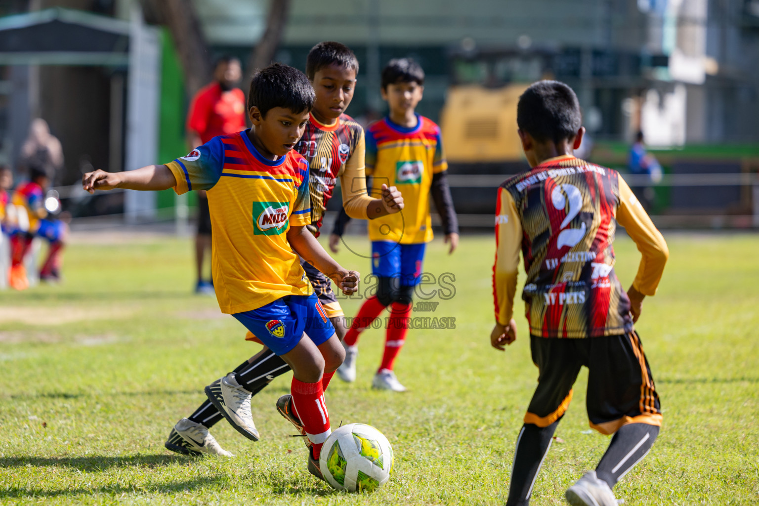 Day 2 of MILO Academy Championship 2025 was held on Friday, 14th February 2025 in Henveiru Stadium. 
Photos: Hassan Simah / Images.mv