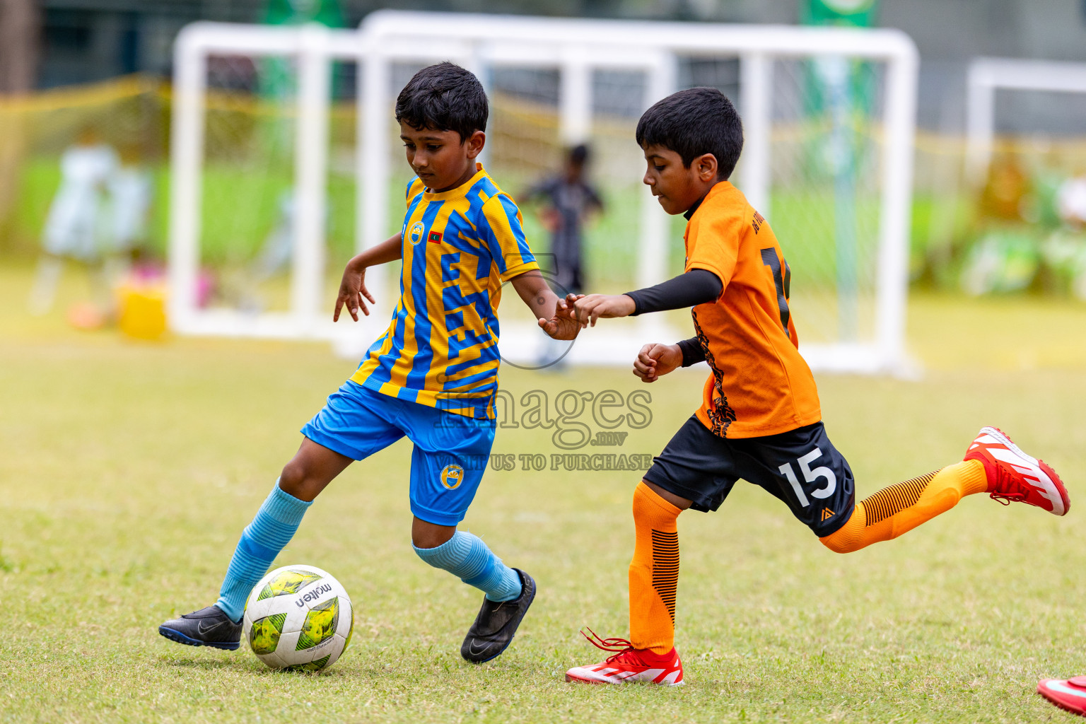 Day 1 of MILO SVAM Juniors 2025 (U-8) was held at Henveiru Stadium in Male', Maldives on Thursday, 26th June 2025. 
Photos: Hassan Simah / images.mv