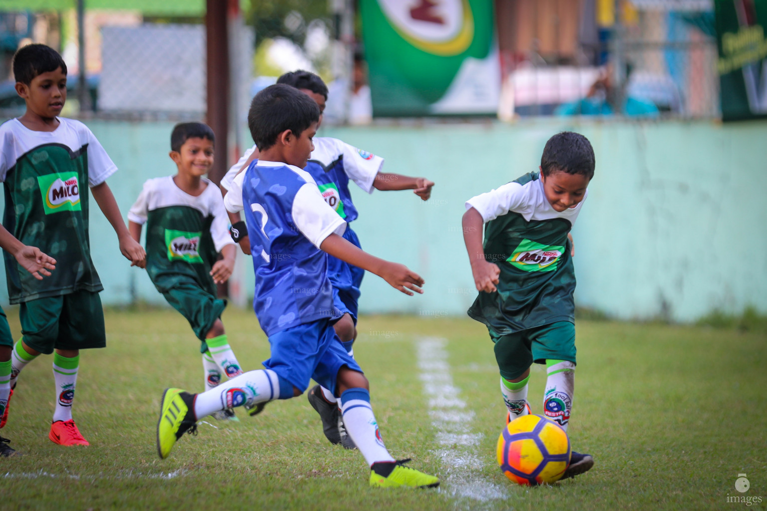 Day 3 of MILO Kids Football Fiesta in Henveiru Grounds in Male', Maldives, Friday, February 21st 2019 (Images.mv Photo / Ismail Thoriq)