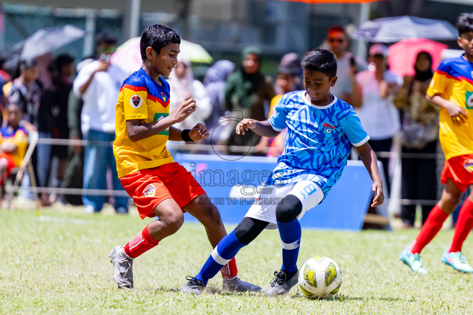 Day 3 MILO Kids 7s Weekend 2024 held in Male, Maldives on Saturday, 19th October 2024. Photos: Nausham Waheed / images.mv