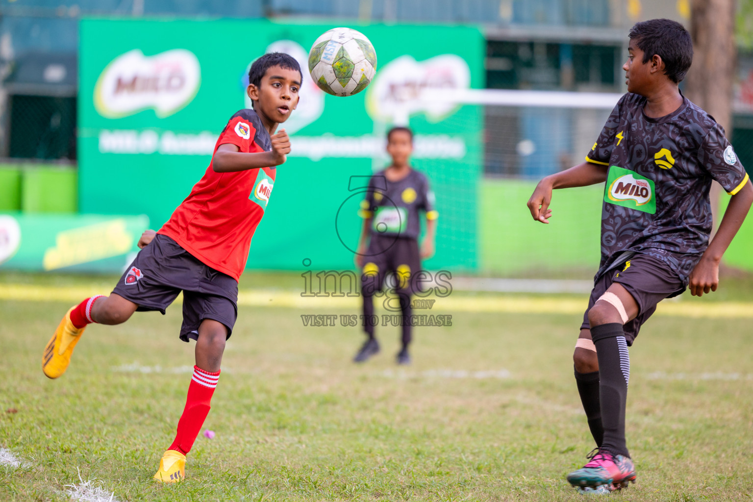 Day 1 of MILO Academy Championship 2024 - U12 was held at Henveiru Grounds in Male', Maldives on Thursday, 4th July 2024. 
Photos: Ismail Thoriq / images.mv