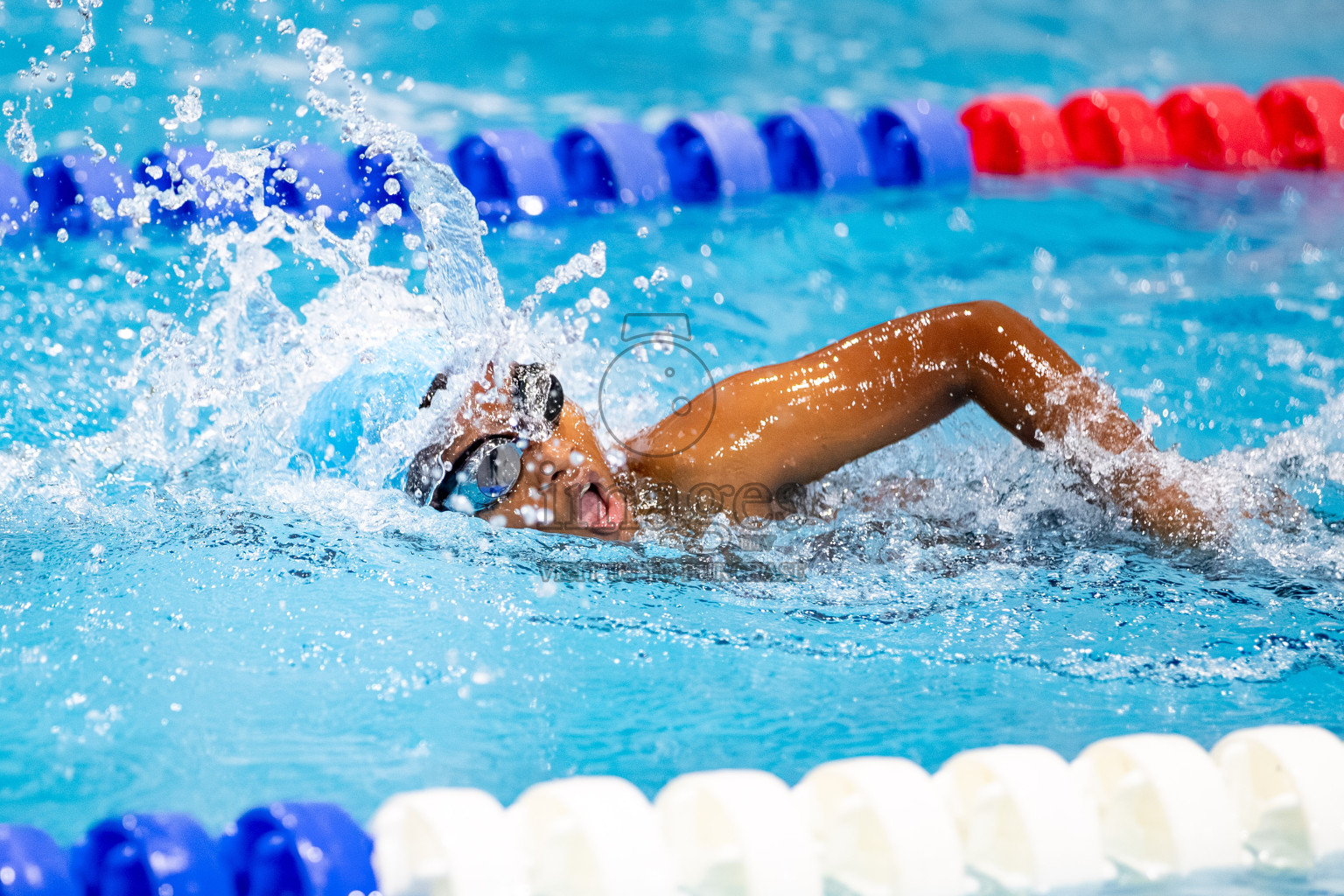 Day 3 of BML 6th National Kids Swimming Kids Festival 2025 held in Hulhumale', Maldives on Wednesday, 5th November 2024. 

Photos: Hassan Simah / images.mv