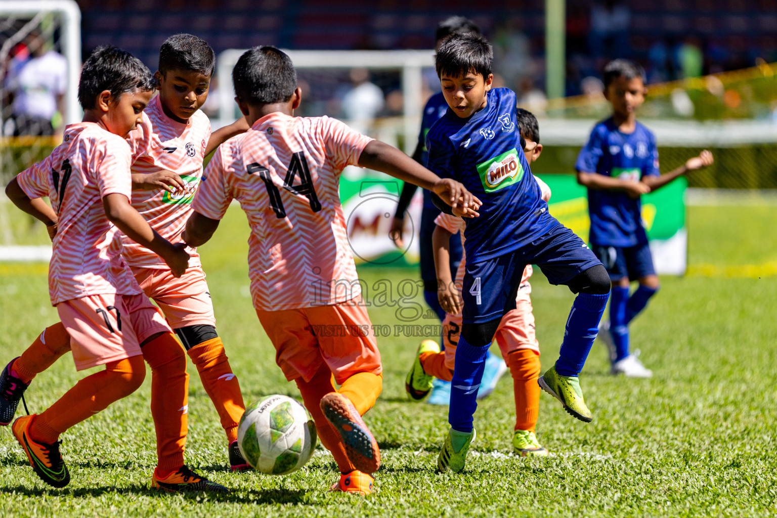 Day 1 of MILO Kids Football Fiesta was held at National Stadium in Male', Maldives on Friday, 23rd February 2024. 
Photos: Hassan Simah / images.mv