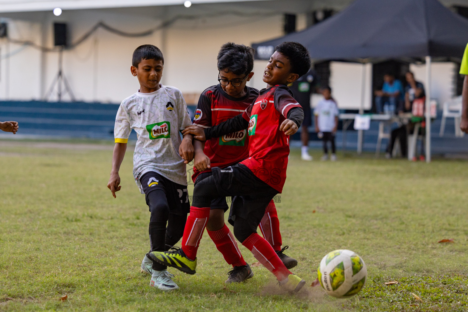 Day 2 of MILO Academy Championship 2025 was held on Friday, 14th February 2025 in Henveiru Stadium. 
Photos: Hassan Simah / Images.mv