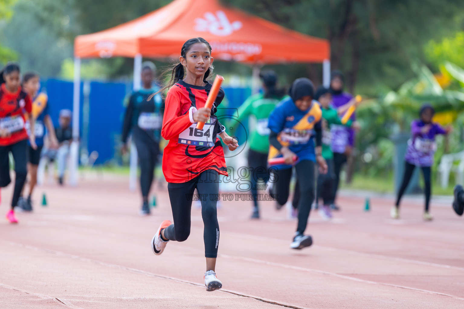 Day 5 of MWSC Interschool Athletics Championships 2024 held in Hulhumale Running Track, Hulhumale, Maldives on Wednesday, 13th November 2024. Photos by: Ismail Thoriq / Images.mv