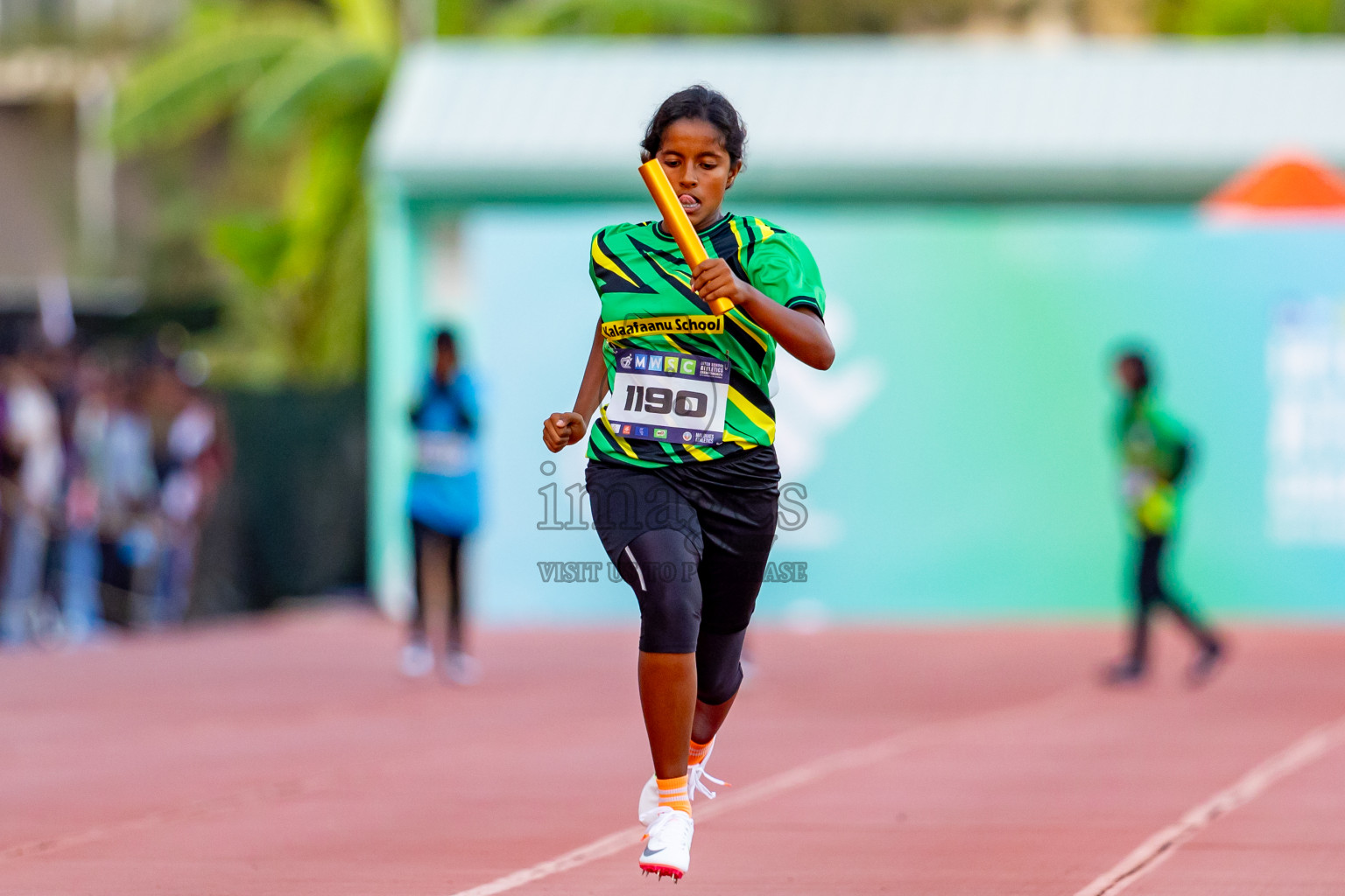 Day 4 of MWSC Interschool Athletics Championships 2024 held in Hulhumale Running Track, Hulhumale, Maldives on Tuesday, 12th November 2024. Photos by: Nausham Waheed / Images.mv