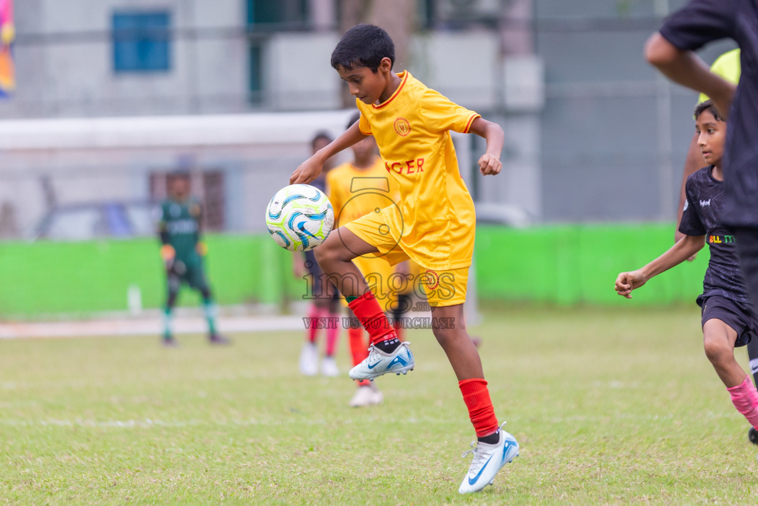 United Victory vs Victory Sports Club  (U12) in Day 5 of Dhivehi Youth League 2024 held at Henveiru Stadium on Friday 29th November 2024. Photos: Shuu Abdul Sattar/ Images.mv