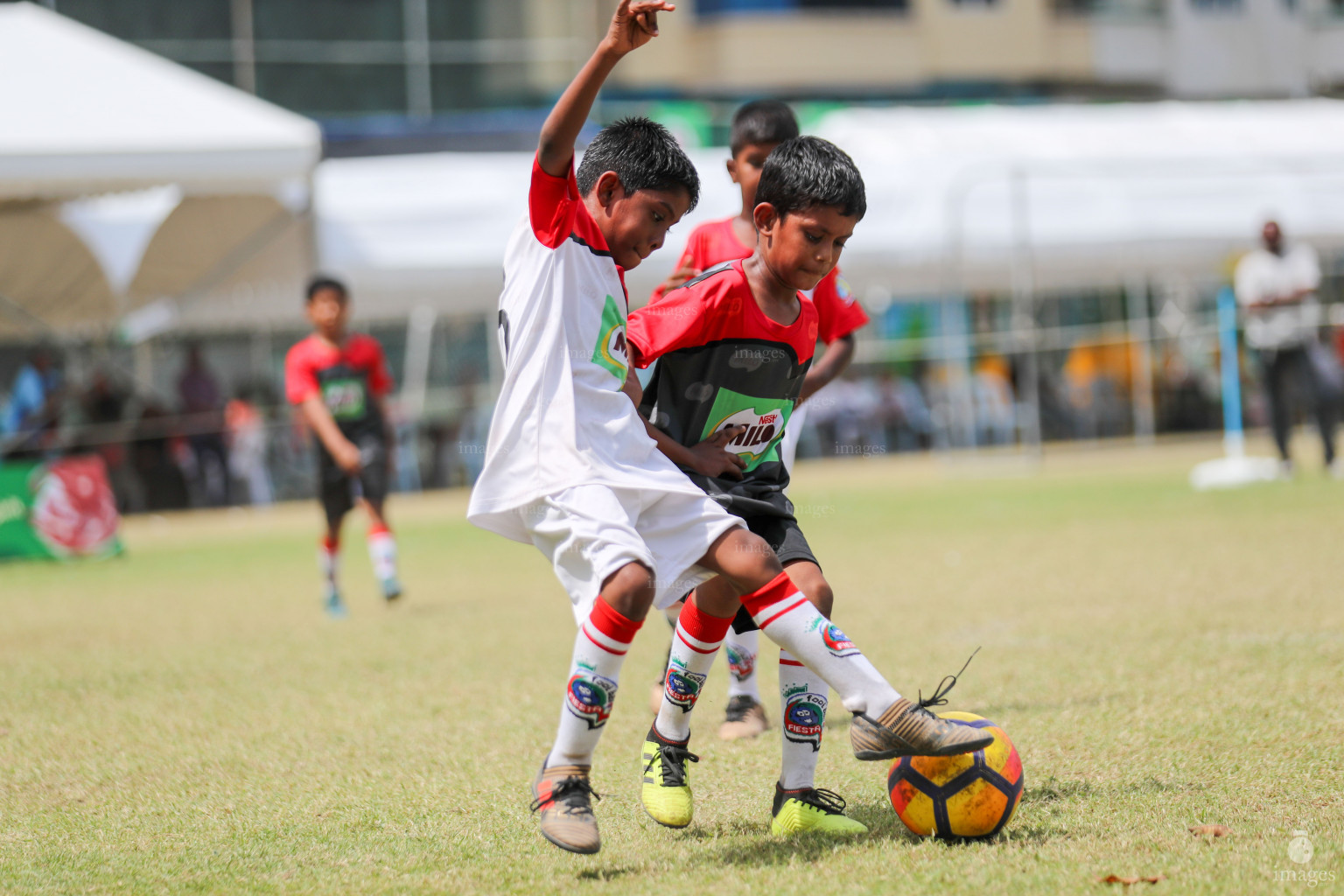 Day 4 of MILO Kids Football Fiesta in Henveiru Grounds in Male', Maldives, Saturday, February 23rd 2019 (Images.mv Photo/Suadh Abdul Sattar)