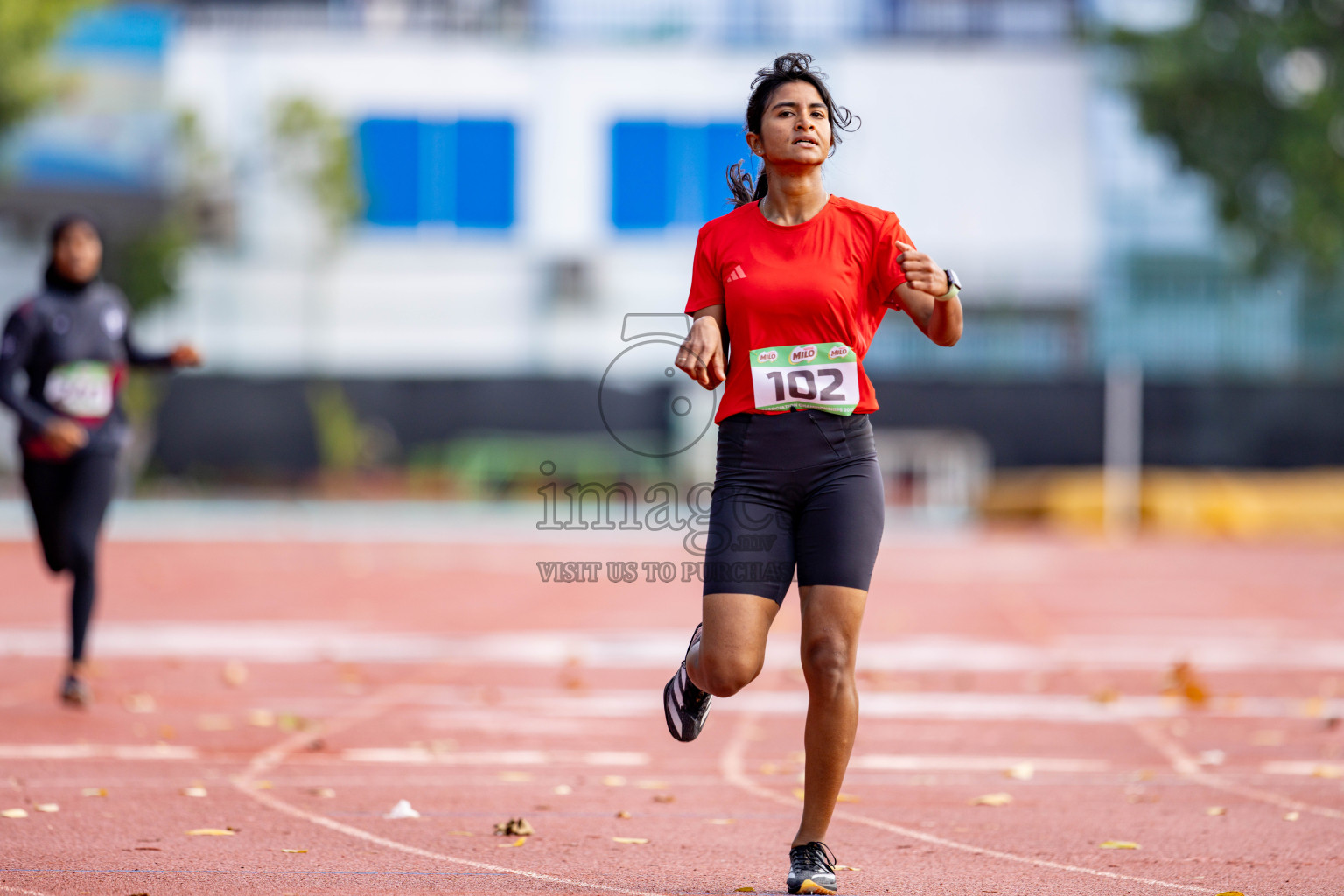 Day 2 of 12th Milo Association Championships was held in Ekuveni Track at Male', Maldives on Friday, 25th April 2025. 
Photos: Hassan Simah / images.mv