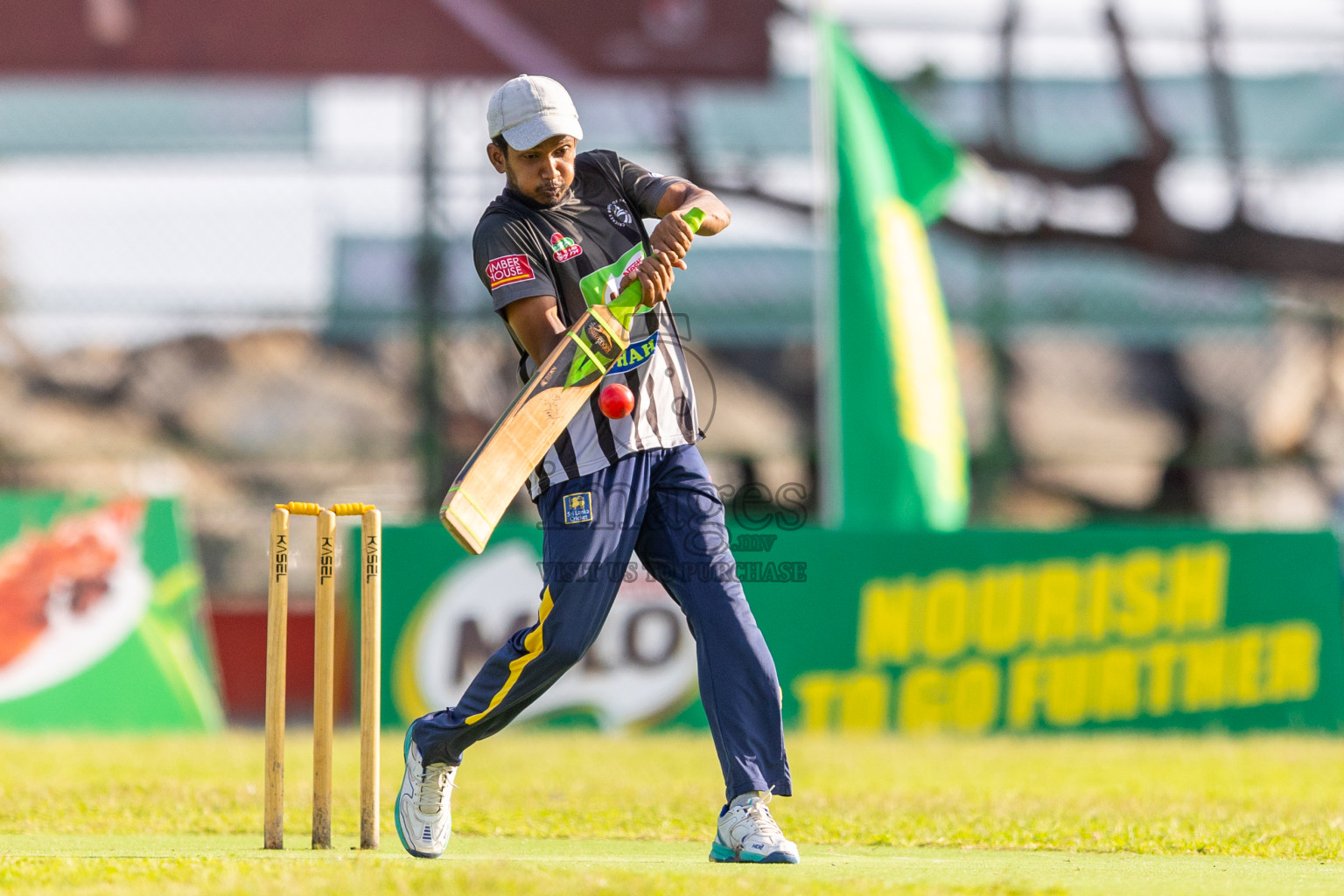 Final of Ramadan Cricket Carnival (Company Tournament) was held at Ekuveni Grounds on Tuesday, 9th April 2024.
Photos: Ismail Thoriq / images.mv