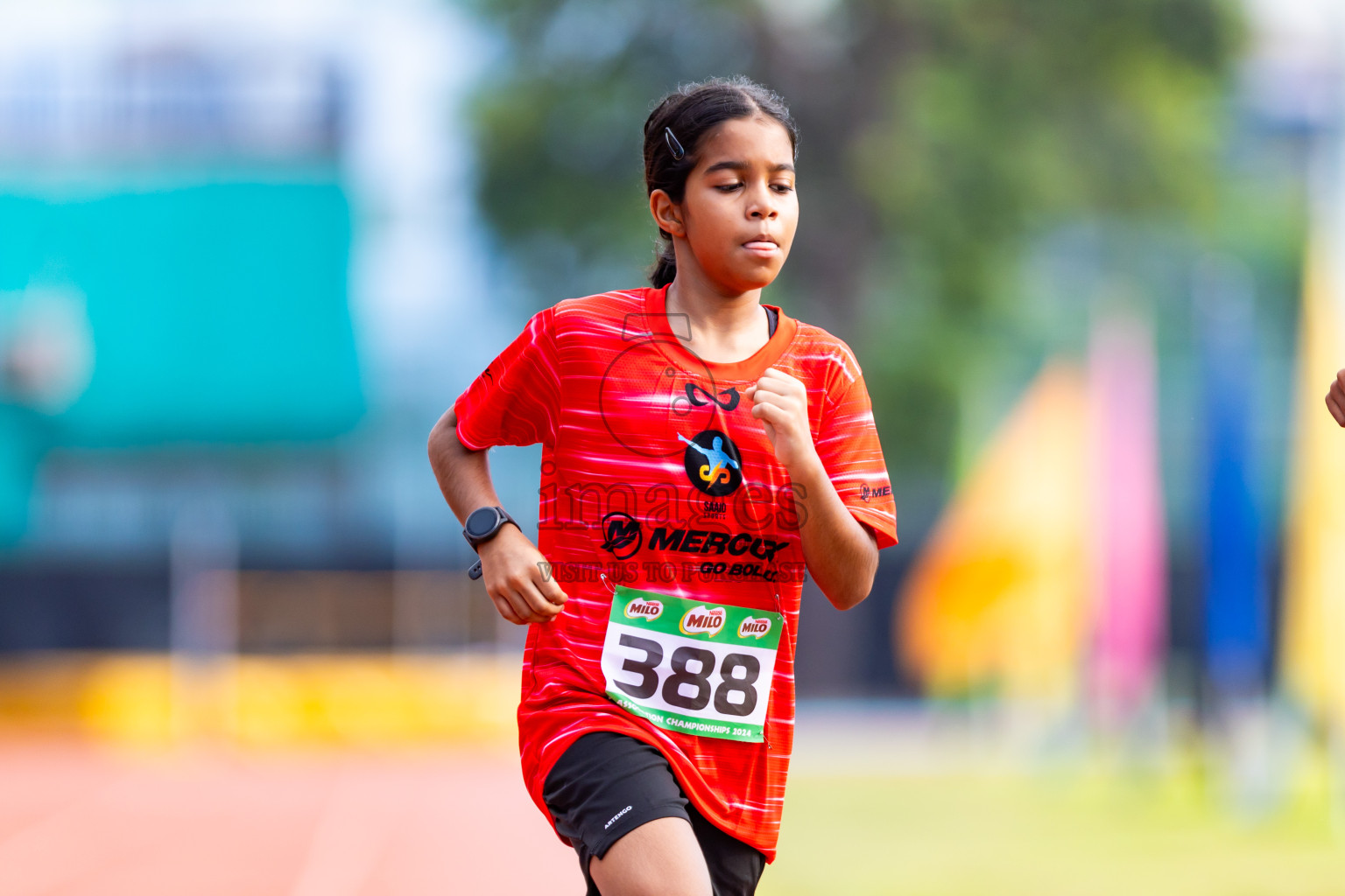 Day 2 of MILO Athletics Association Championship was held on Wednesday, 6th May 2024 in Male', Maldives. Photos: Nausham Waheed