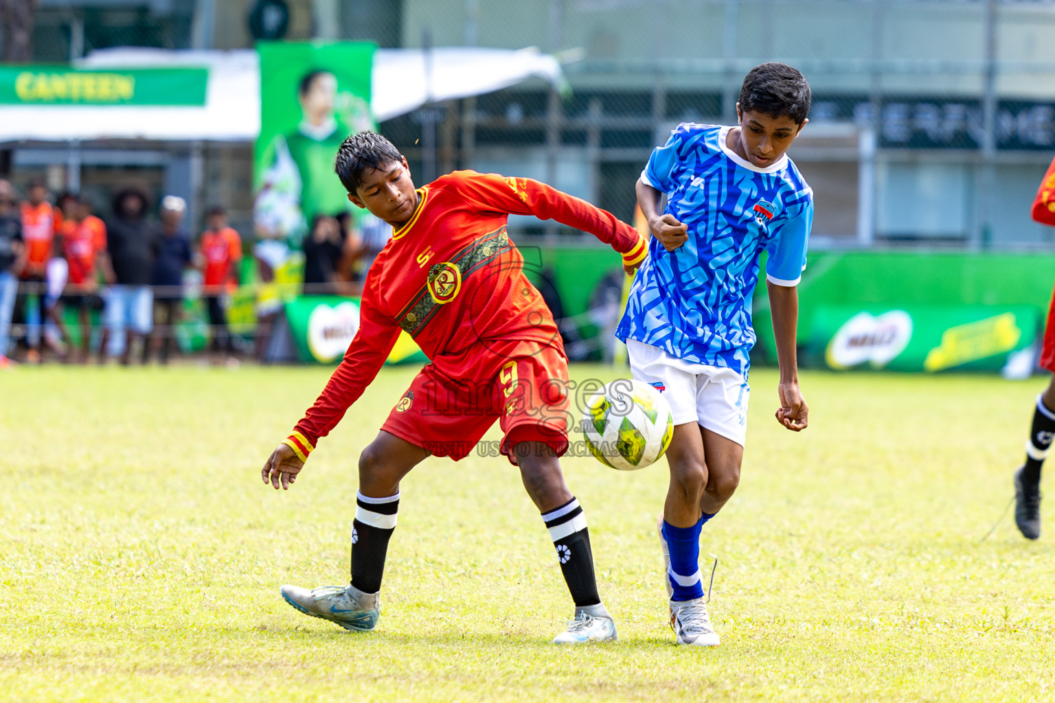 Day 3 of MILO Academy Championship 2024 (U-14) was held in Henveyru Stadium, Male', Maldives on Saturday, 2nd November 2024.
Photos: Hassan Simah / Images.mv