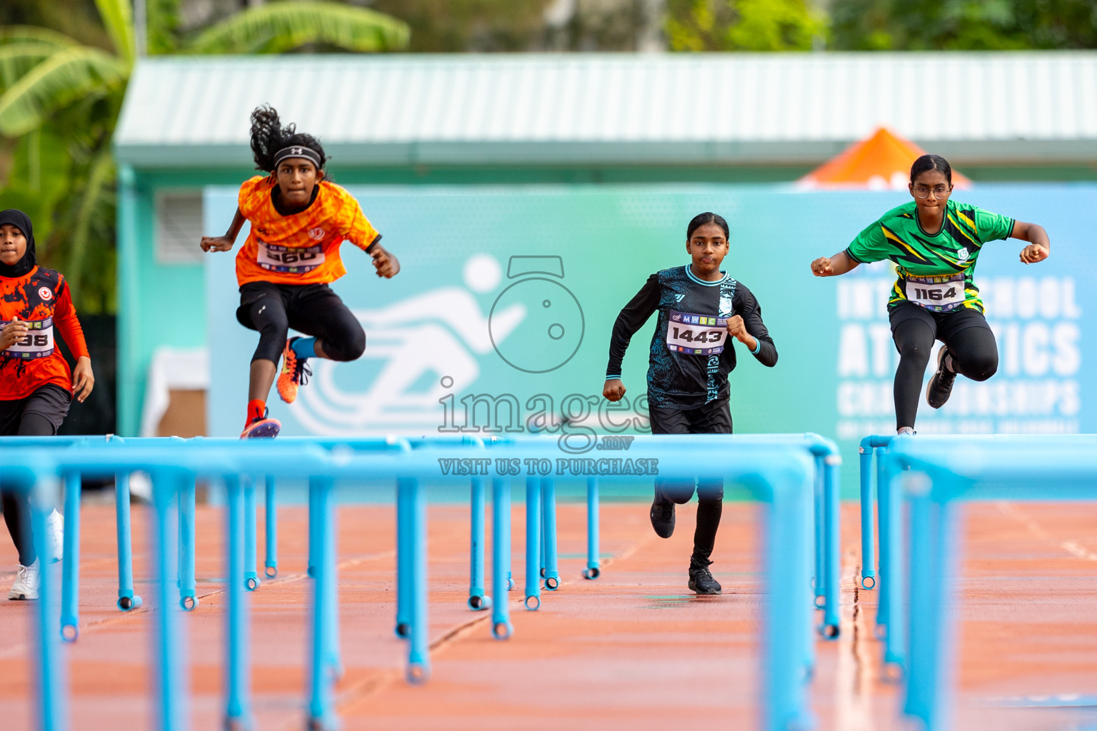 Day 2 of MWSC Interschool Athletics Championships 2024 held in Hulhumale Running Track, Hulhumale, Maldives on Sunday, 10th November 2024.
Photos by: Ismail Thoriq / Images.mv