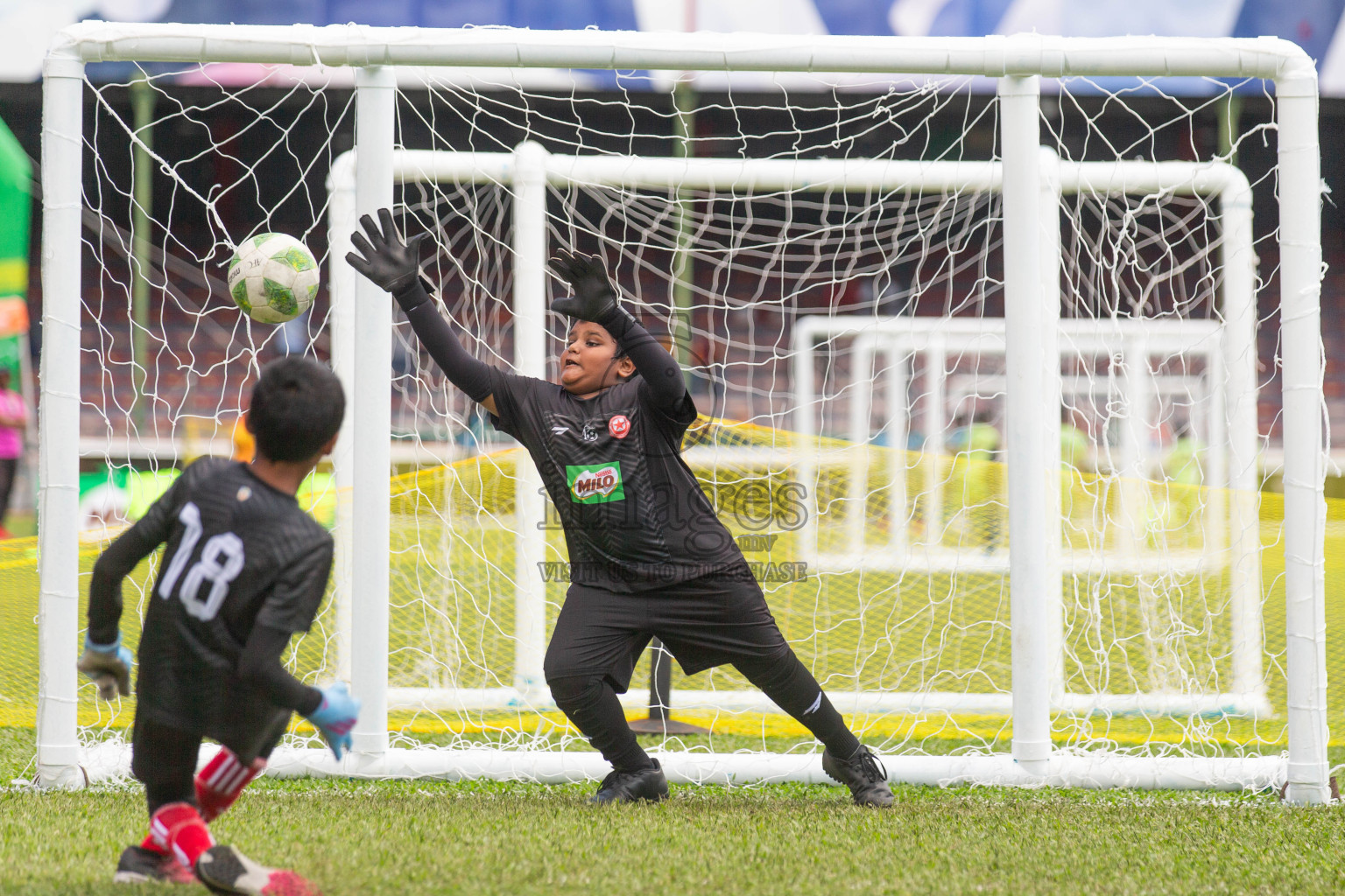 Day 2 of MILO Kids Football Fiesta was held at National Stadium in Male', Maldives on Saturday, 24th February 2024.