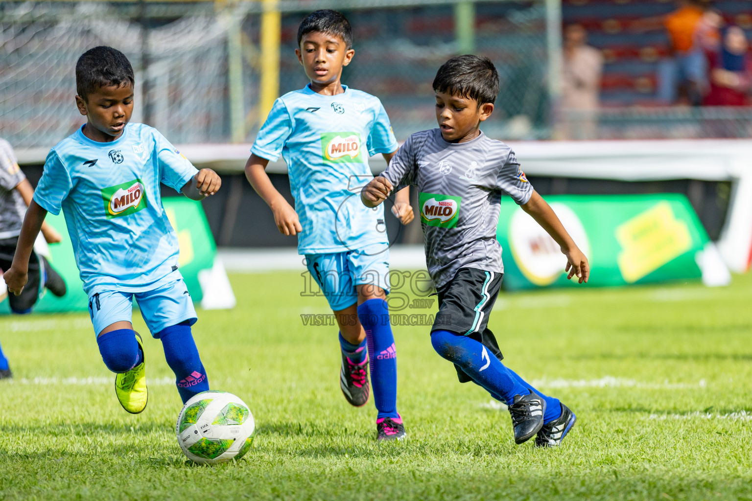 Day 1 of MILO Kids Football Fiesta was held at National Stadium in Male', Maldives on Friday, 23rd February 2024. 
Photos: Hassan Simah / images.mv