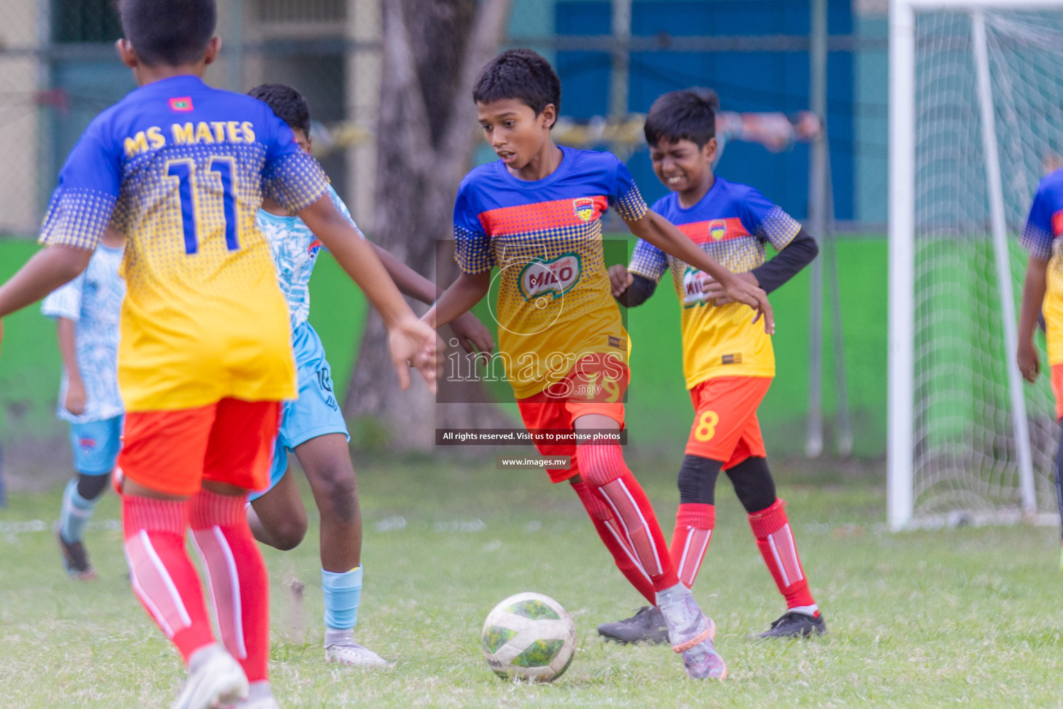 Day 1 of MILO Academy Championship 2023 (U12) was held in Henveiru Football Grounds, Male', Maldives, on Friday, 18th August 2023. 
Photos: Shuu Abdul Sattar / images.mv