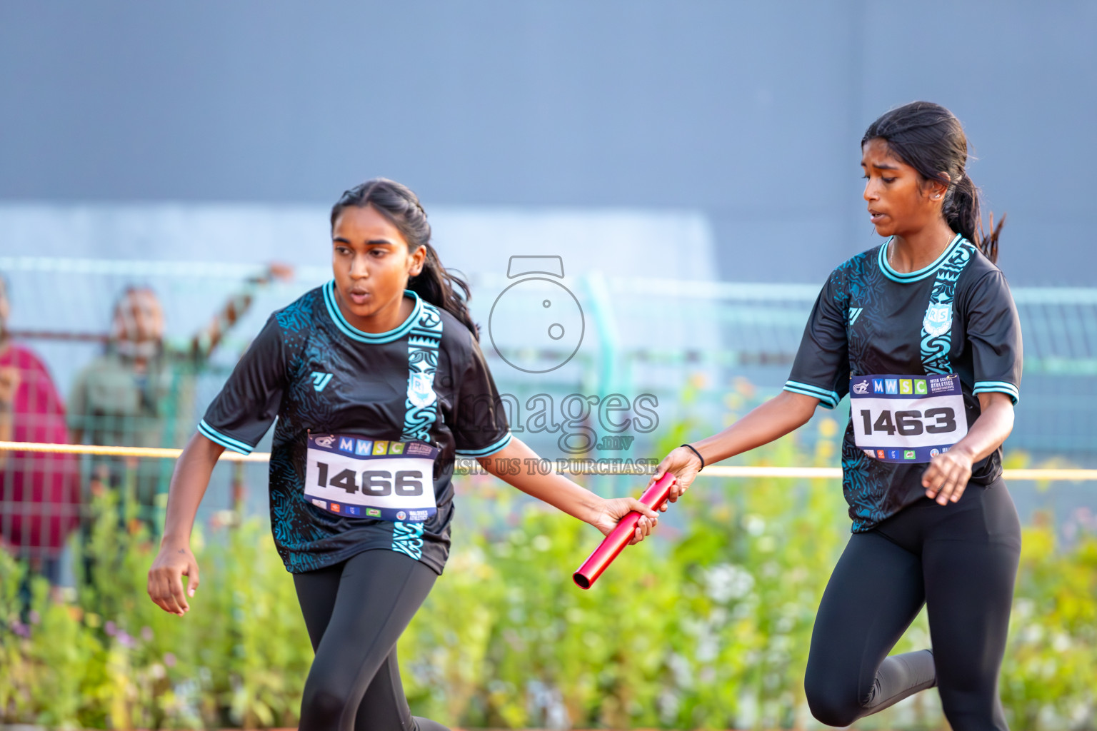 Day 4 of MWSC Interschool Athletics Championships 2024 held in Hulhumale Running Track, Hulhumale, Maldives on Tuesday, 12th November 2024. Photos by: Ismail Thoriq / Images.mv