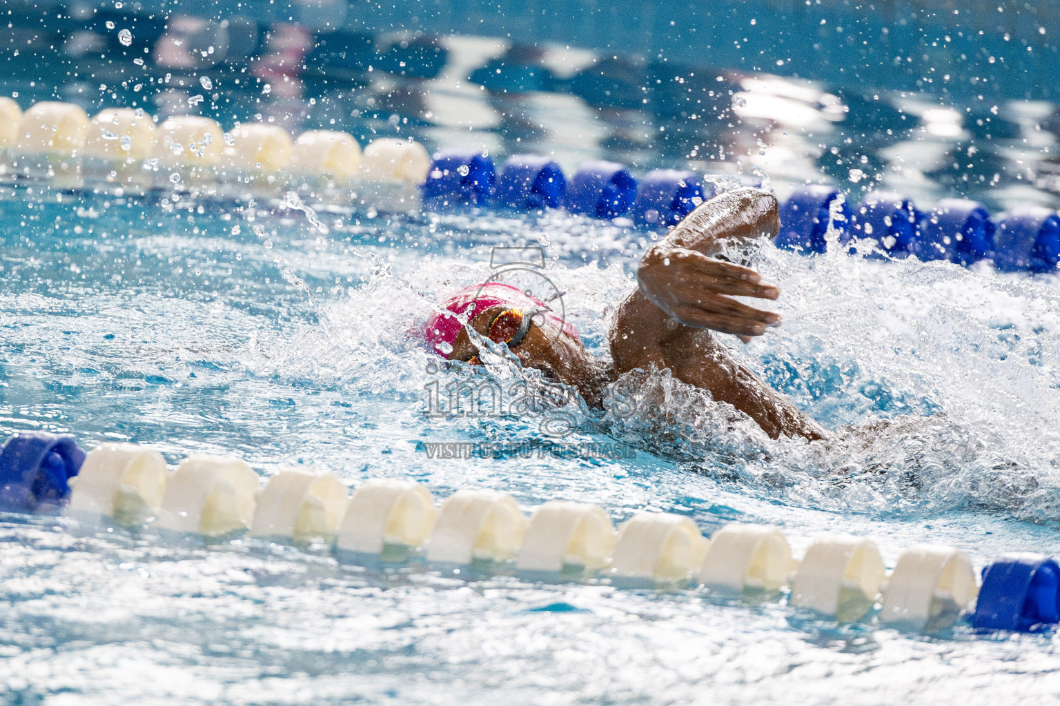 Day 5 of National Swimming Competition 2024 held in Hulhumale', Maldives on Tuesday, 17th December 2024. 
Photos: Hassan Simah / images.mv