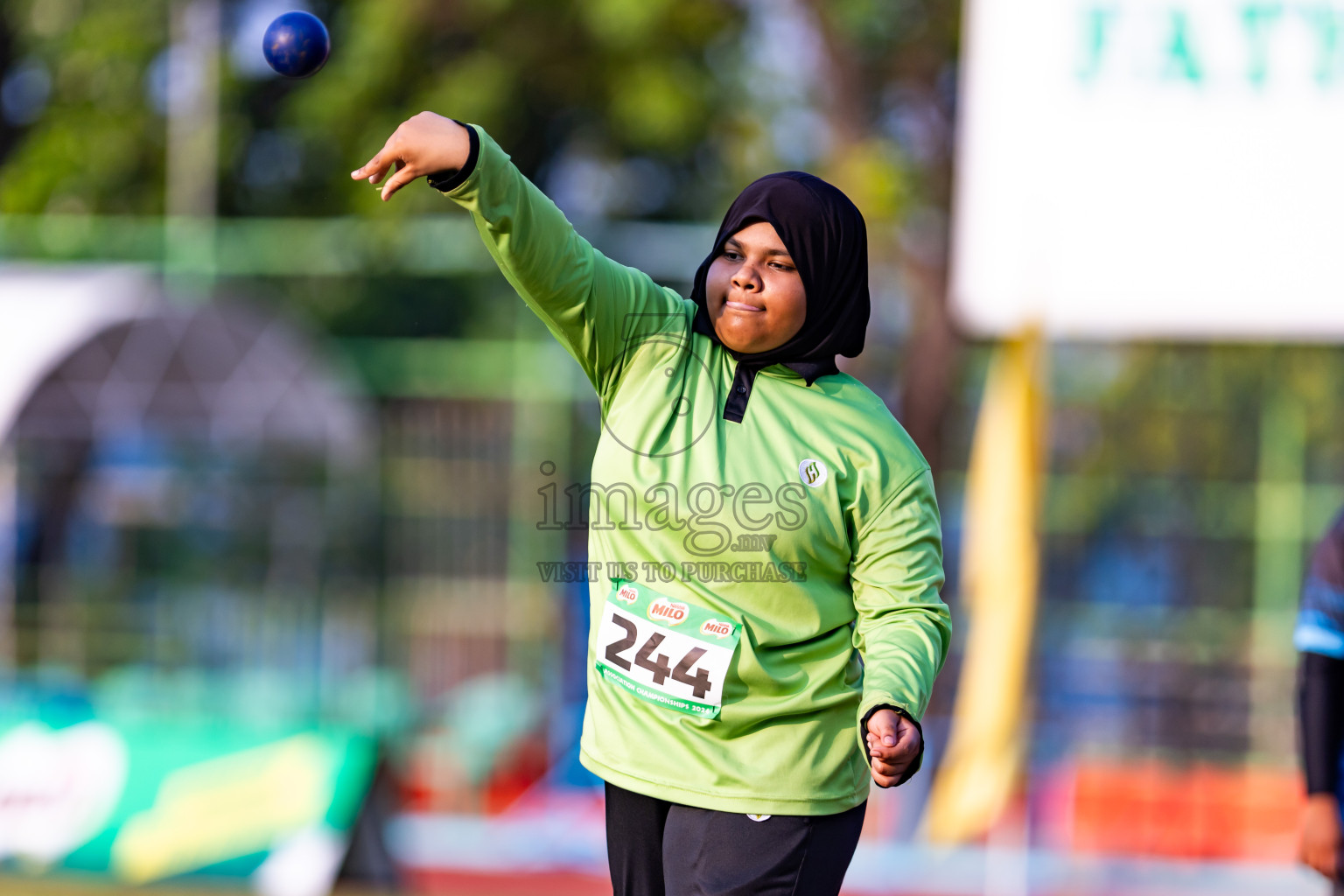 Day 2 of MILO Athletics Association Championship was held on Wednesday, 6th May 2024 in Male', Maldives. Photos: Nausham Waheed