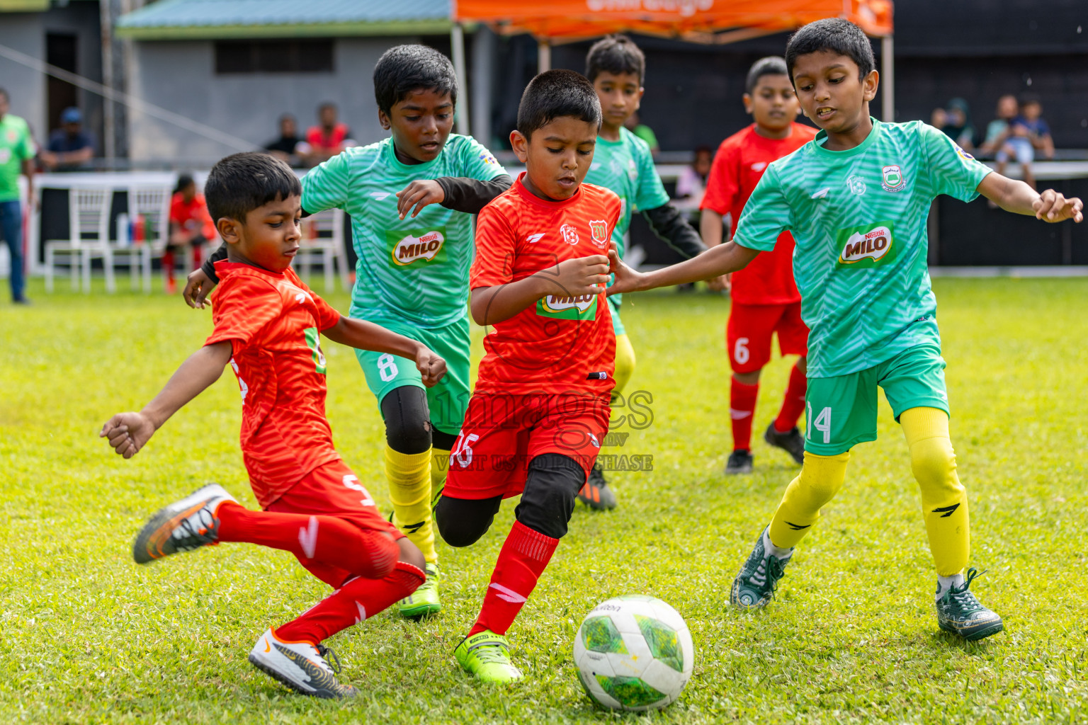 Day 2 of MILO Kids Football Fiesta was held at National Stadium in Male', Maldives on Saturday, 24th February 2024.