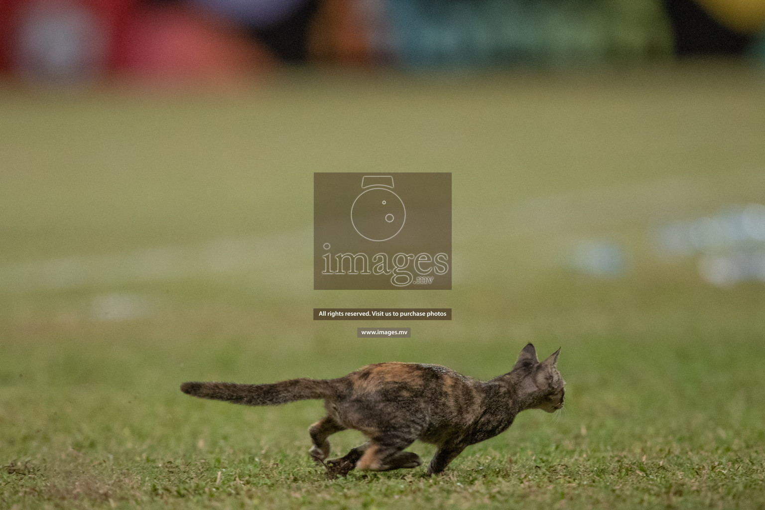 Villa International High School and Center for Higher Secondary Education in the finals of MAMEN Inter School Football Tournament 2019 (U18) in Male, Maldives on 8th April 2019